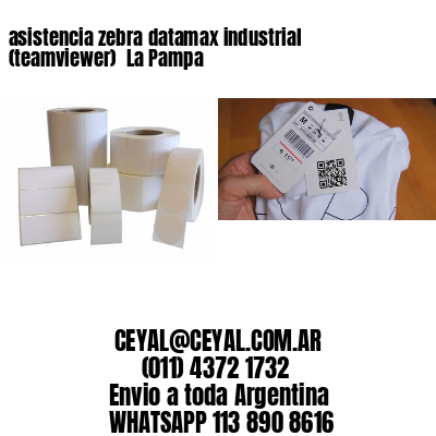 asistencia zebra datamax industrial (teamviewer)  La Pampa