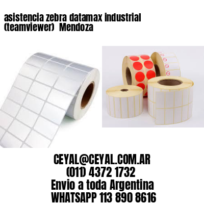 asistencia zebra datamax industrial (teamviewer)  Mendoza