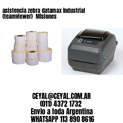 asistencia zebra datamax industrial (teamviewer)  Misiones