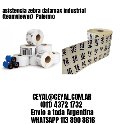 asistencia zebra datamax industrial (teamviewer)  Palermo