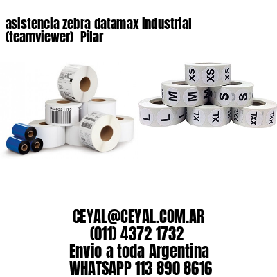 asistencia zebra datamax industrial (teamviewer)  Pilar