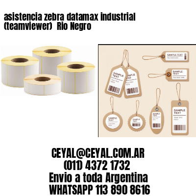 asistencia zebra datamax industrial (teamviewer)  Rio Negro