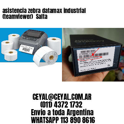 asistencia zebra datamax industrial (teamviewer)  Salta