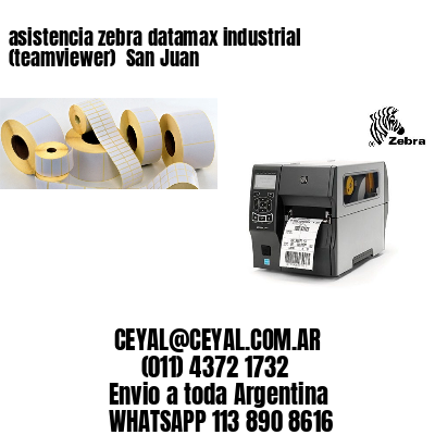 asistencia zebra datamax industrial (teamviewer)  San Juan
