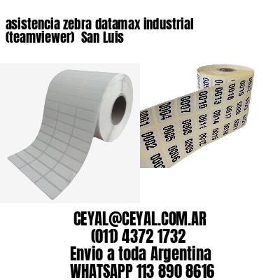 asistencia zebra datamax industrial (teamviewer)  San Luis
