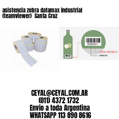 asistencia zebra datamax industrial (teamviewer)  Santa Cruz