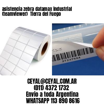 asistencia zebra datamax industrial (teamviewer)  Tierra del Fuego