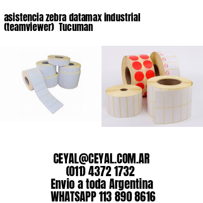 asistencia zebra datamax industrial (teamviewer)  Tucuman