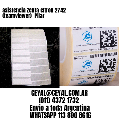 asistencia zebra eltron 2742 (teamviewer)  Pilar