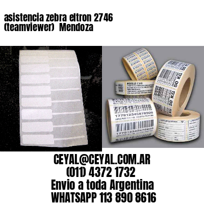 asistencia zebra eltron 2746 (teamviewer)  Mendoza