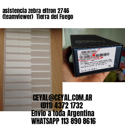 asistencia zebra eltron 2746 (teamviewer)  Tierra del Fuego