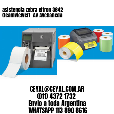 asistencia zebra eltron 3842 (teamviewer)  Av Avellaneda