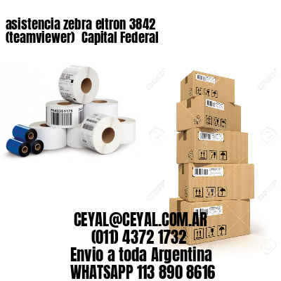 asistencia zebra eltron 3842 (teamviewer)  Capital Federal
