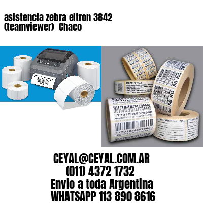 asistencia zebra eltron 3842 (teamviewer)  Chaco