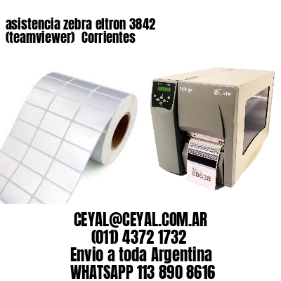 asistencia zebra eltron 3842 (teamviewer)  Corrientes