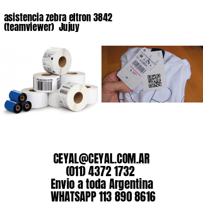 asistencia zebra eltron 3842 (teamviewer)  Jujuy
