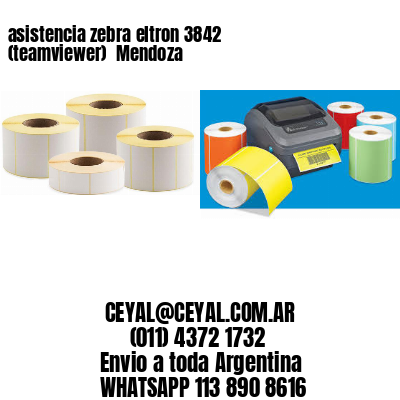 asistencia zebra eltron 3842 (teamviewer)  Mendoza