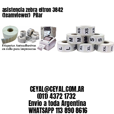 asistencia zebra eltron 3842 (teamviewer)  Pilar