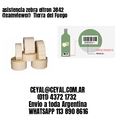 asistencia zebra eltron 3842 (teamviewer)  Tierra del Fuego