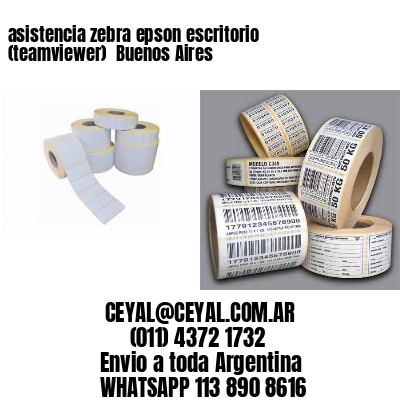 asistencia zebra epson escritorio (teamviewer)  Buenos Aires