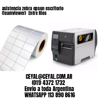 asistencia zebra epson escritorio (teamviewer)  Entre Rios