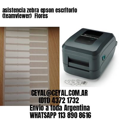 asistencia zebra epson escritorio (teamviewer)  Flores