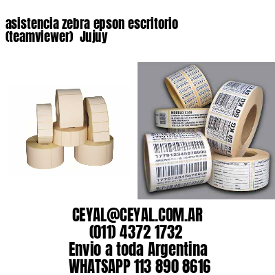 asistencia zebra epson escritorio (teamviewer)  Jujuy