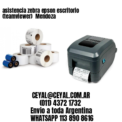 asistencia zebra epson escritorio (teamviewer)  Mendoza