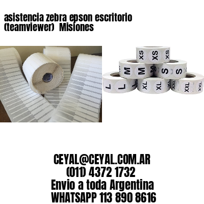 asistencia zebra epson escritorio (teamviewer)  Misiones