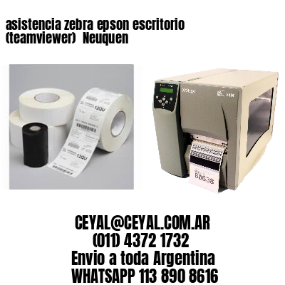 asistencia zebra epson escritorio (teamviewer)  Neuquen