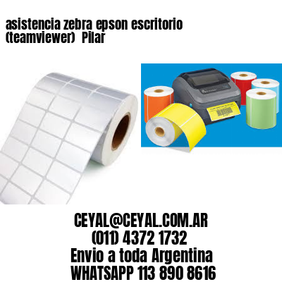 asistencia zebra epson escritorio (teamviewer)  Pilar