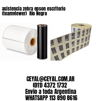asistencia zebra epson escritorio (teamviewer)  Rio Negro