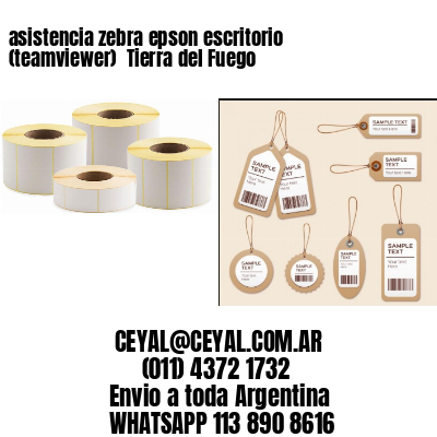 asistencia zebra epson escritorio (teamviewer)  Tierra del Fuego