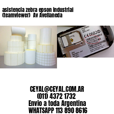 asistencia zebra epson industrial (teamviewer)  Av Avellaneda