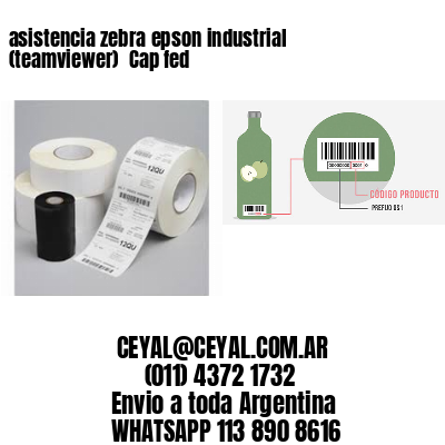asistencia zebra epson industrial (teamviewer)  Cap fed