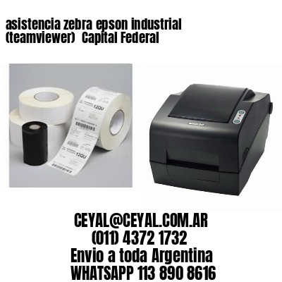 asistencia zebra epson industrial (teamviewer)  Capital Federal
