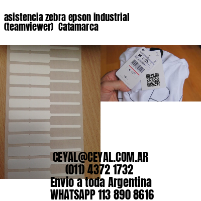 asistencia zebra epson industrial (teamviewer)  Catamarca