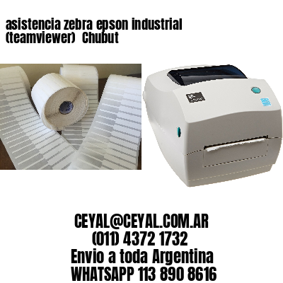 asistencia zebra epson industrial (teamviewer)  Chubut