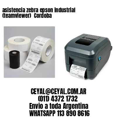 asistencia zebra epson industrial (teamviewer)  Cordoba