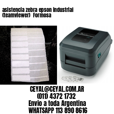 asistencia zebra epson industrial (teamviewer)  Formosa
