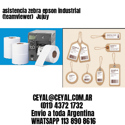 asistencia zebra epson industrial (teamviewer)  Jujuy