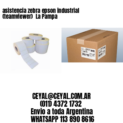 asistencia zebra epson industrial (teamviewer)  La Pampa