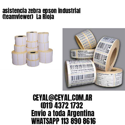 asistencia zebra epson industrial (teamviewer)  La Rioja