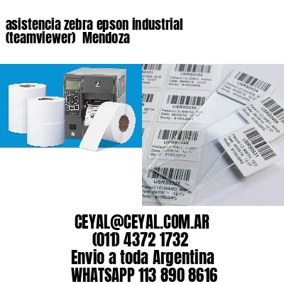 asistencia zebra epson industrial (teamviewer)  Mendoza