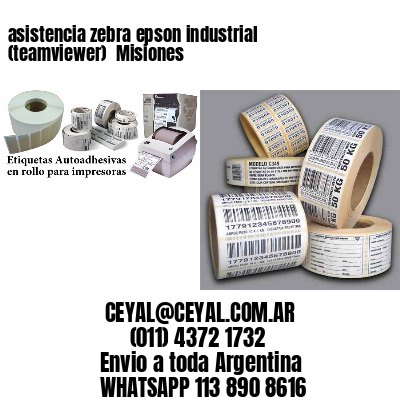 asistencia zebra epson industrial (teamviewer)  Misiones