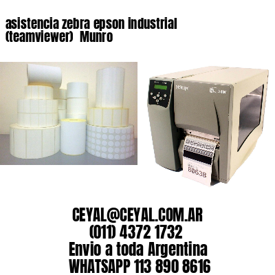 asistencia zebra epson industrial (teamviewer)  Munro