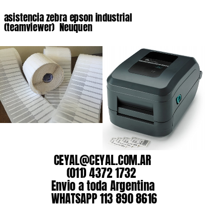 asistencia zebra epson industrial (teamviewer)  Neuquen
