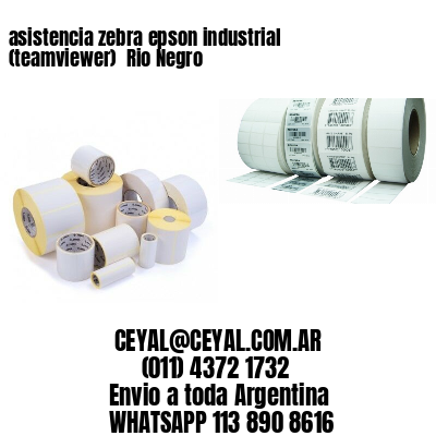 asistencia zebra epson industrial (teamviewer)  Rio Negro