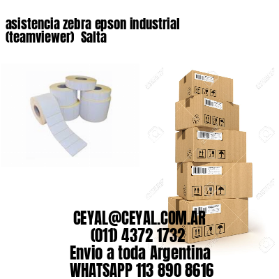 asistencia zebra epson industrial (teamviewer)  Salta