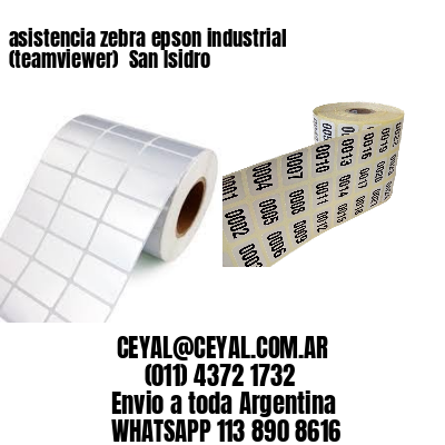 asistencia zebra epson industrial (teamviewer)  San Isidro